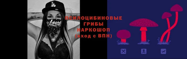 ECSTASY Абаза