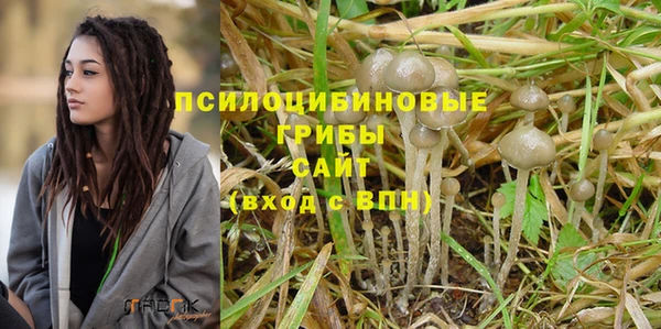ECSTASY Абаза