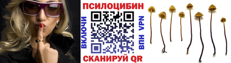 Галлюциногенные грибы ЛСД  где купить   даркнет какой сайт  Нестеровская  hydra  