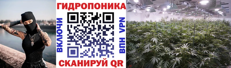 Канабис THC 21%  Нестеровская 
